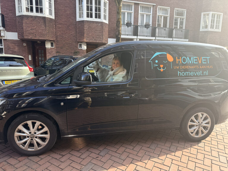 HomeVet veterinarian in a branded mobile veterinary van