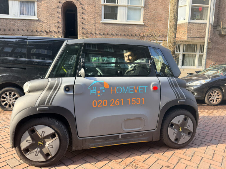 HomeVet veterinarian in a branded compact electric car